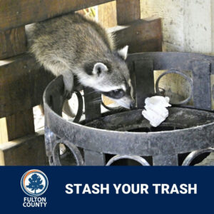 Don't feed the raccoons with your litter! Stash your trash! Organize a cleanup in your community by completing this short form at the link in our bio. To find out more about Fulton County's anti-littering initiative, email pw.customerservice@fultoncountyga.gov.