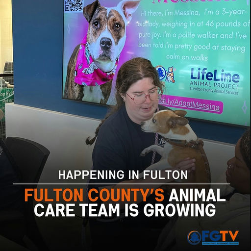 Photo shared by Fulton County Government TV on May 13, 2025 tagging @lifelineanimal, and @fultonanimalservices. May be an image of 1 person, pet, office and text that says 'aoeit 向ロー የትማምያ l6auk ロ本は Hithere, I'm Messina, I'm 3-year- told foldtlady, weighing in at 46 pounds o1 pure joy. I'm a polite walker and I've been beentold told I'm pretty good at staying calm on walks BN Pet'em LifeLine ANIMAL PROJECT ब Fulton !ton Lounty LountyAnimal nimal Services bit.ly/AdoptMessina HAPPENING IN FULTON FULTON COUNTY'S ANIMAL CARE TEAM IS GROWING FGTV หามกอยทางรารททศนหีอ'.