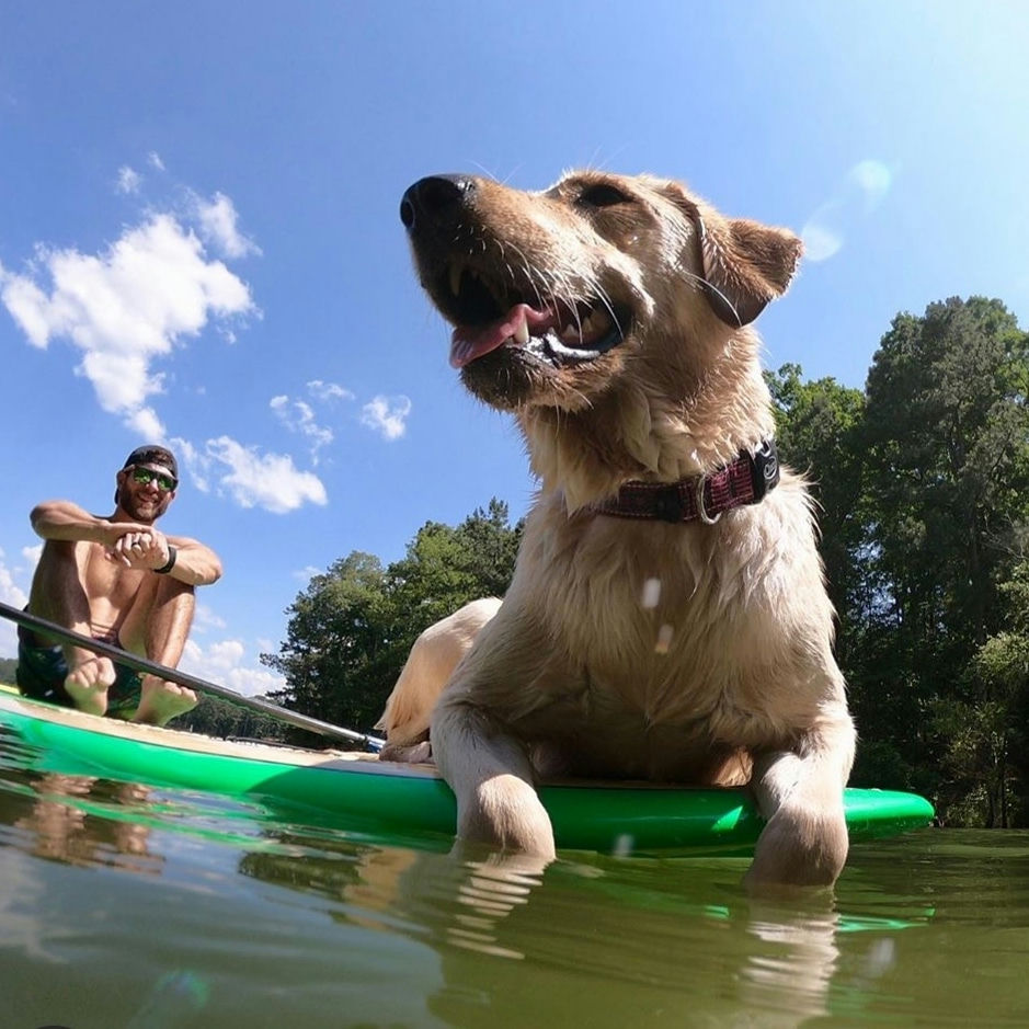 New Press Release from CRNRA - Keep Your Furry Friends Safe: Leashing Dogs at Chattahoochee River National Recreation Area 🐾 Dogs are always welcome on the trails, but only on a leash. A 6-foot leash keeps your pet safe and protects fellow visitors, sensitive wildlife, and our incredible park! From injuries to endangered plants to heartbreaking wildlife encounters, the consequences of off-leash pets are real. That’s why CRNRA is reminding visitors of this important rule. Learn more and read the full press release in their bio. P.S. Want to be part of the solution? Stop by Island Ford Visitor Center and get your pup sworn in as a B.A.R.K. Ranger!