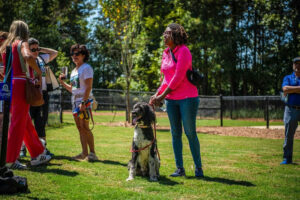 Photo by Roswell Recreation and Parks on September 13, 2025. May be an image of 5 people, Afghan hound, dalmatian, frisbee, park and text.