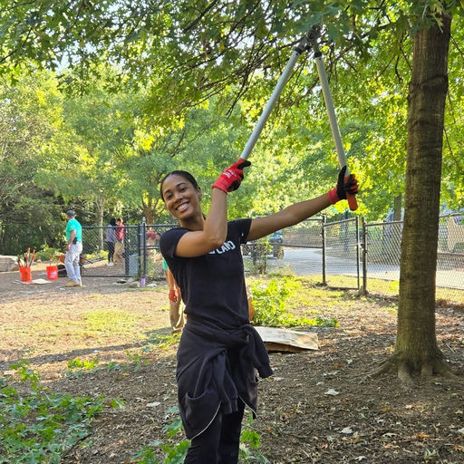 Photo by Piedmont Park on October 15, 2025. May be an image of shovel, axe, chainsaw, tree, park and text.
