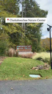 The image features a serene landscape scene, dominated by a calm lake surface that reflects the soft colors of the sky above. The transition of hues from deep blue at the top of the image to lighter shades of lavender and peach towards the horizon creates a soothing ambiance. Silhouetted against this sky are the dark outlines of tall, lush trees lining the shore of the lake, their foliage detailed and textured, appearing almost velvety in the dim light. In the foreground, a smooth pebble beach creates a natural frame for the water, dotted with various sizes of round stones that add depth and interest. A gentle ripple can be seen in the lake's surface, hinting at a slight breeze that stirs the air softly, enhancing the tranquil feel of the setting. The overall mood of the scene is peaceful and intimate, inviting the viewer to take a moment to appreciate the beauty of nature.