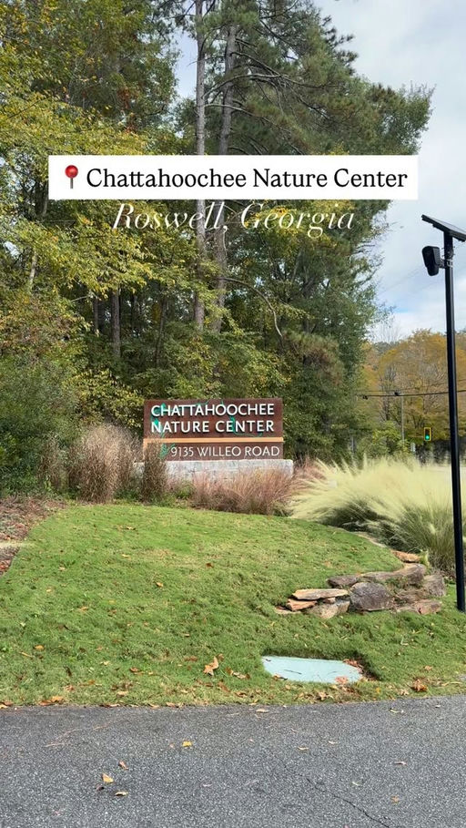 The image features a serene landscape scene, dominated by a calm lake surface that reflects the soft colors of the sky above. The transition of hues from deep blue at the top of the image to lighter shades of lavender and peach towards the horizon creates a soothing ambiance. Silhouetted against this sky are the dark outlines of tall, lush trees lining the shore of the lake, their foliage detailed and textured, appearing almost velvety in the dim light. In the foreground, a smooth pebble beach creates a natural frame for the water, dotted with various sizes of round stones that add depth and interest. A gentle ripple can be seen in the lake's surface, hinting at a slight breeze that stirs the air softly, enhancing the tranquil feel of the setting. The overall mood of the scene is peaceful and intimate, inviting the viewer to take a moment to appreciate the beauty of nature.