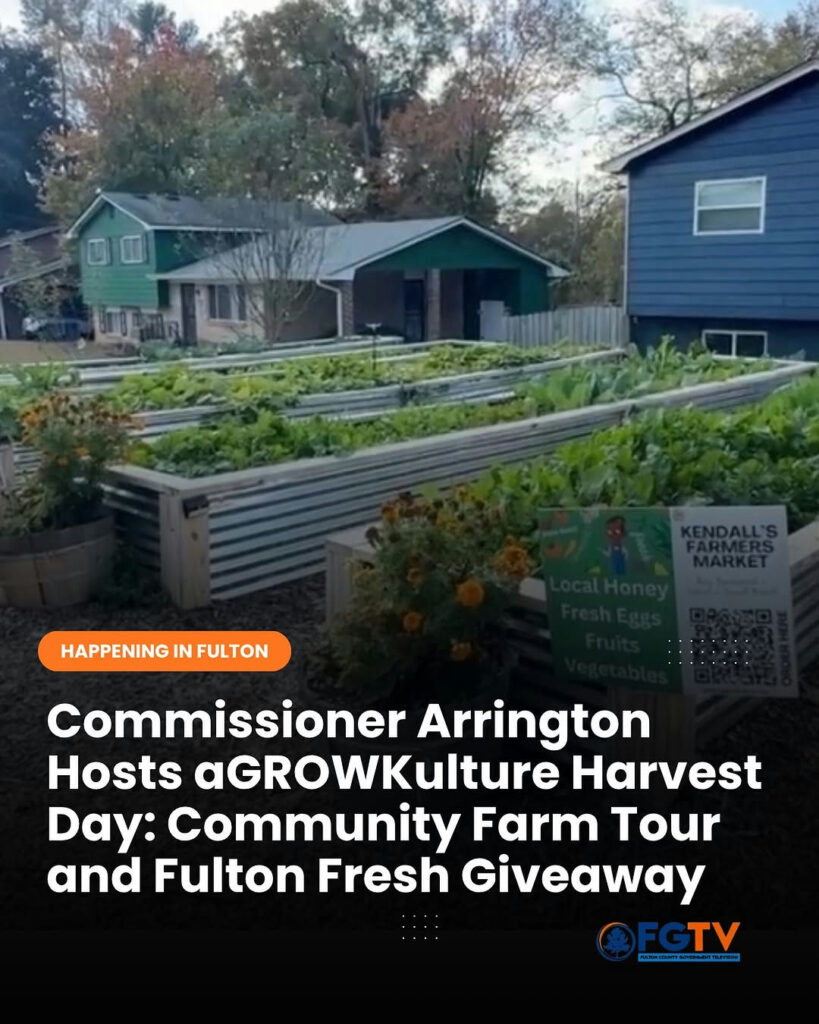 Fresh food, family fun, and community learning in Southwest Atlanta. 🌱 FGTV joined Commissioner Marvin Arrington Jr. and the team at aGROWKulture for Harvest Day, led by 10-year-old Kendall Rae Johnson — the youngest certified farmer in the nation. Families toured the farm, met the animals, and took home free produce from Fulton Fresh. #FultonForward #OneFulton #FultonCounty #FGTV #aGROWKulture #UrbanFarming #FultonFresh